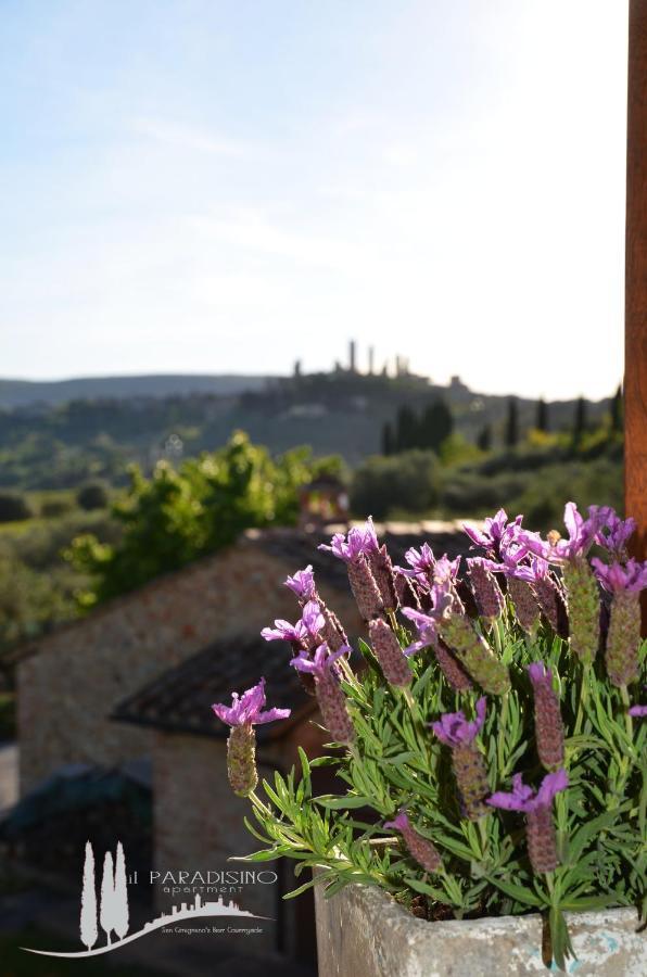 Il Paradisino San Gimignano'S Best Countryside Exteriör bild